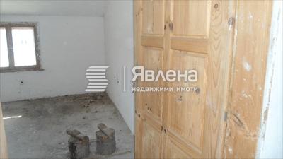 стая