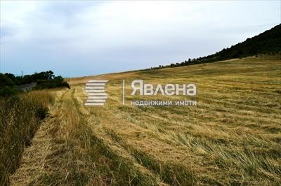 парцела