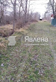 улица
