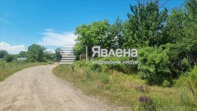 лице към улицата