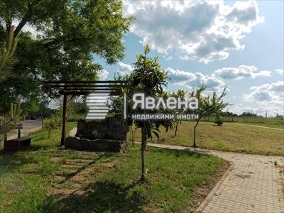 село Фазаново - център