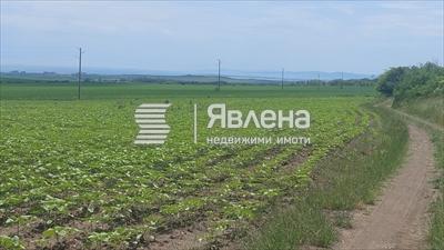 локация
