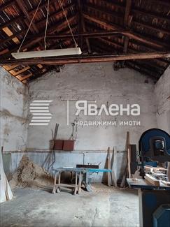 Хале