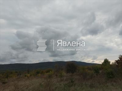 панорама