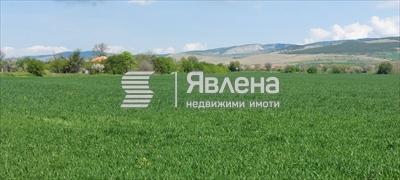 с. Друган